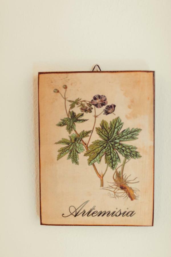 b&b Artemisia Alghero Dış mekan fotoğraf